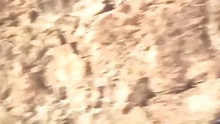 Bite dans mon cul lope