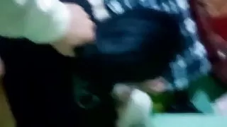 Giving it to my girlfriend on all fours