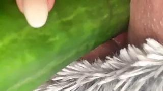 Masturbationen with cucumber