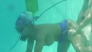 Amber Lynn Bach Scuba Fuck