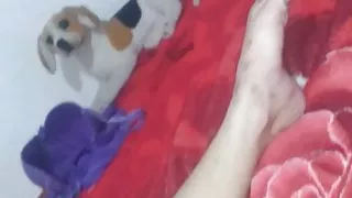 Gessika Brazilian lesbian short masturbation video