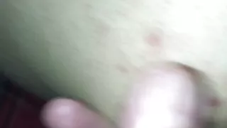 Amatööri, Anaali, Aasialainen, Perse, Britti, Isä