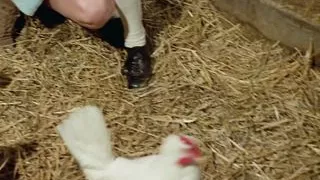 Blutjunge Verfuhrerinnen 2 - 4K Restoration (DUBBED)