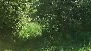 Cruising FFK with plug.