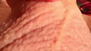 Man's penis head is in a lover's mouth