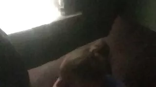 Me And White Cougar 47 Sucking Me Off Nicely