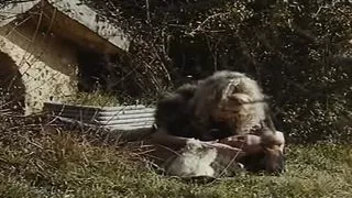 Alice nel paese delle pornomeraviglie (1993, Russian dub)