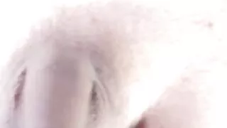 Atemberaubende Schönheit von Shemale Big Cock