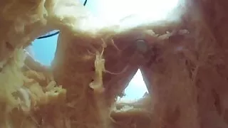 Abigail Mac carves a pumpkin, then plays with herself