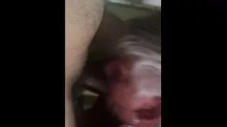 Real 46 Year Old Hotwife Sucks and Fucks 21 Yr old