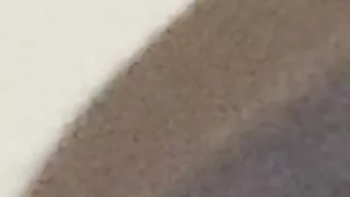 Sex With Punjabi Girl