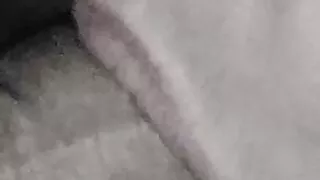 Sloppy sucking on hard cock