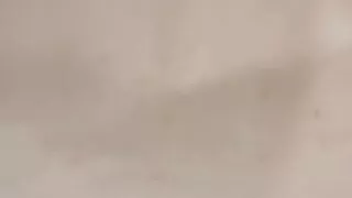 My 1 Beate Uhse order!