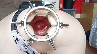 Opening the Pussy within