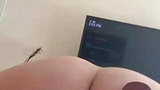 Amateur Couple - Big Ass and a Paddle, Reverse Cowgirl