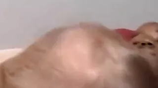 Mature man sucks black amateurs cock and tries his cum