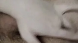 Fingering my fat hairy ass