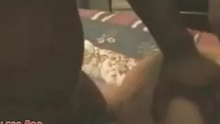 Hot Bodied Shy Wife Cuckolded Hubby with Black Bulls