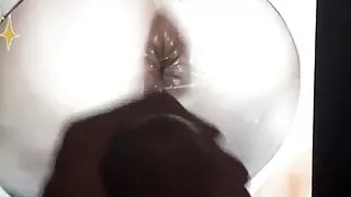 Genshin Impact - Paimon - Anime SOP Cum Tribute