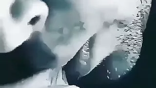 Chut ka pani  nikala