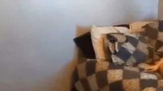 Finnish Wife Doggystyle Sex