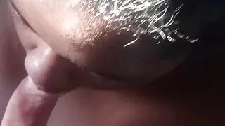 Black BBW sucks white cock