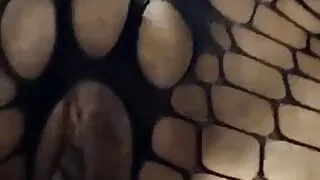 VP04 - Damarys 113sxi