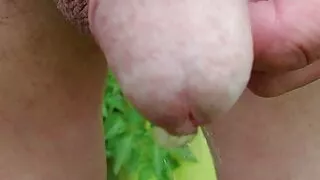pissing in the garden