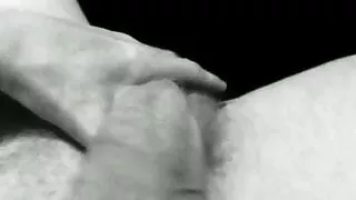 Streichelnder Schwanz schwarz und weiß