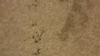 A lot cum off in carpet ,after hot wank.