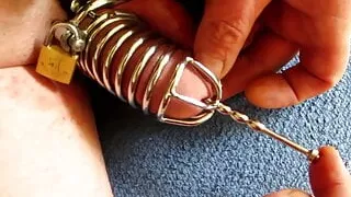 Sounding in Chastity