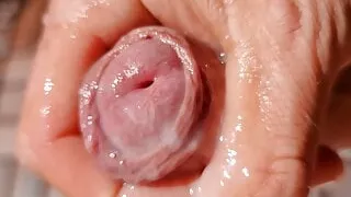 Amateursex, Dicke Girls, BDSM, Creampie, Sperma