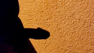 Öffentlicher Nachtspaziergang Schwanz flash