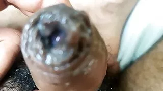 driver fucking owner's wife very hard when he was away, Hindi