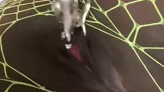 Feeling a bit frisky