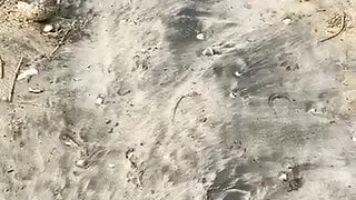 Sri Lankan couple &ndash; awesome fun with bed