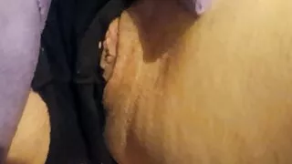 Panty slip Wife, pussy slip, pussy lips out of panties