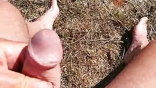 pee in the sun outdoors