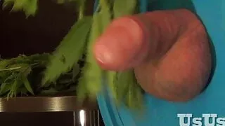 Peitschen Bälle und Penis UsUsa