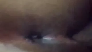 Basma Bentel, sharmoota from Sydney