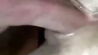 Twinky pussy boy was fucked