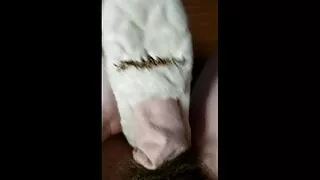 Cover the socks and fuck shoes with neighbor girl