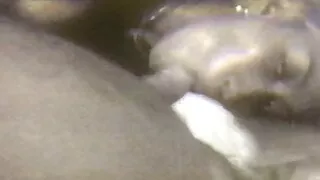 Thai Pattaya wife likes to suck me 4