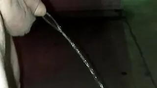 Transenschlampe pisst draußen