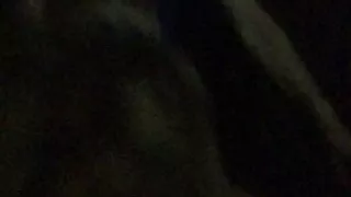 Empire Huddersfield – British amateur in Cinema