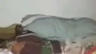 cute desi sisiter boob & hairy tits pussy showing