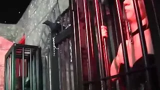 Perverse Huren werden in der Gruppe gefickt