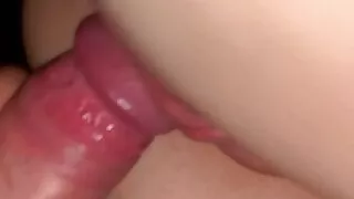 Fleshy dick dives deep into pink pussy