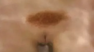 Pussy