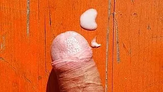 Pappa, Hage, Tysk, Runking, Gammel Mann, Offentlig